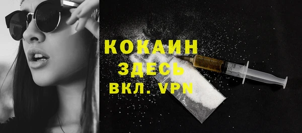 ГАЛЛЮЦИНОГЕННЫЕ ГРИБЫ Богданович