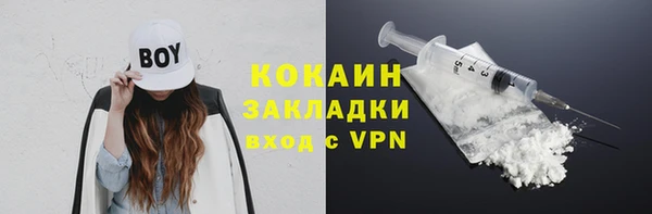 спиды Богородск