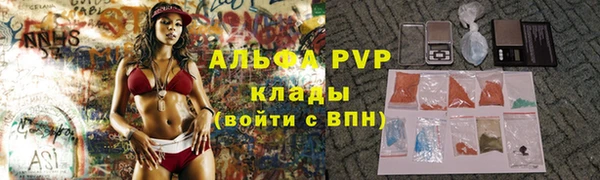 спиды Богородск