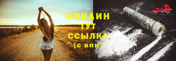ГАЛЛЮЦИНОГЕННЫЕ ГРИБЫ Богданович