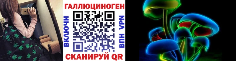 Купить закладки  Кораблино  Псилоцибиновые грибы мицелий 
